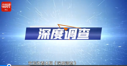 深度调查丨粮仓“看门人”带头腐败致多人效仿，聚焦关键岗位严惩“硕鼠”