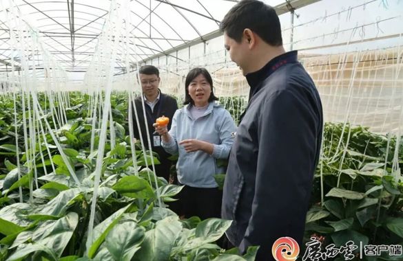 监督护航“菜篮子” 贺州“蔬”写振兴新篇